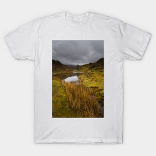 Fairy Glen T-Shirt